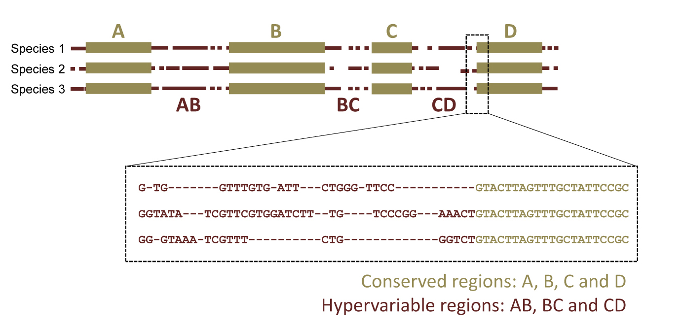 Figure1